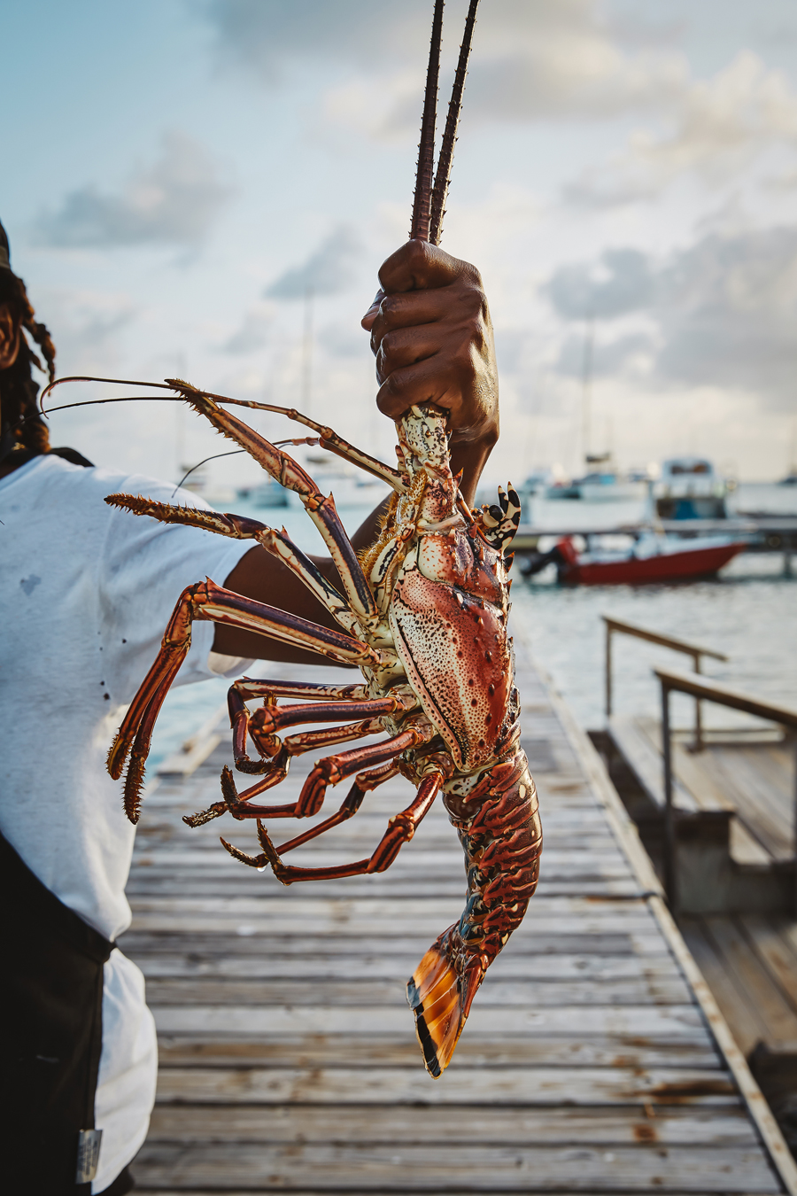 Anegada Lobster Fest © Jennifer Balcombe