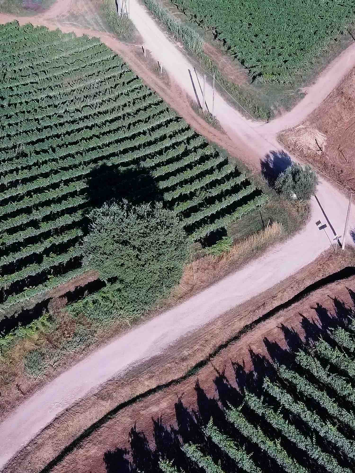 Latium Experience e la Strada del vino in provincia di Latina