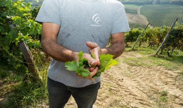 Young & Wine, l’immagine del vino in tour