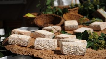 Buon formaggio? Eccolo qua, by Cheese 2013