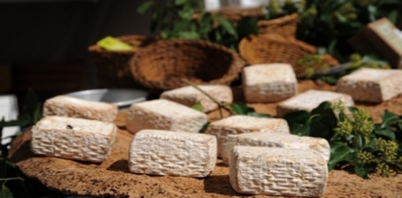 Buon formaggio? Eccolo qua, by Cheese 2013