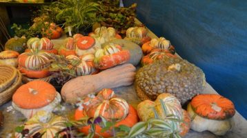 Italian Farmers, alla conquista di Londra