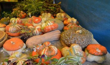 Italian Farmers, alla conquista di Londra