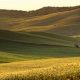 Passione Maremma, un territorio tutto da scoprire