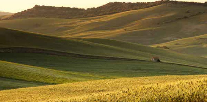 Passione Maremma, un territorio tutto da scoprire