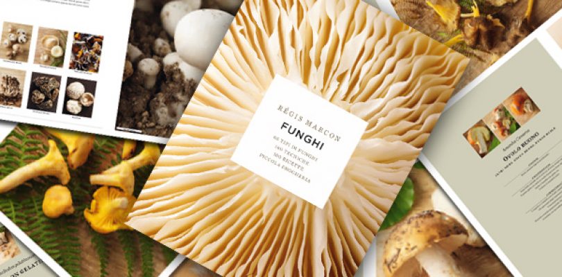 Tutto sui funghi, il cibo del benessere