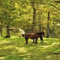 NaturArte, il fascino della Basilicata