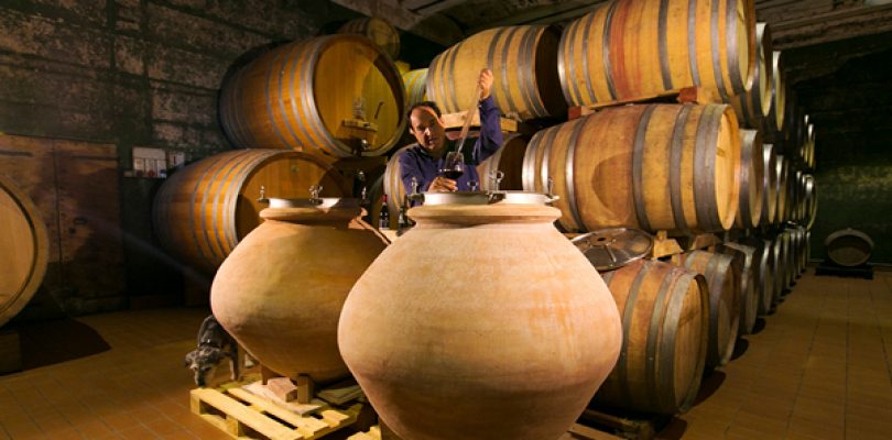 Cantina Antonelli San Marco, il vino nell’anfora