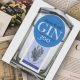 Gin – Arte, mestiere e nuova sapienza in 300 distillazioni