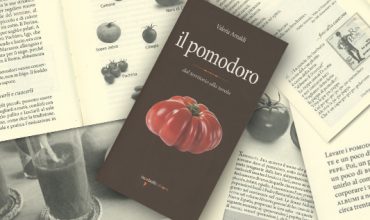 Xitomatl, sua maestà il pomodoro