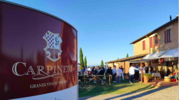 Carpineto Chianina in cantina