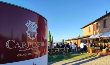 Carpineto Chianina in cantina