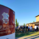 Carpineto Chianina in cantina