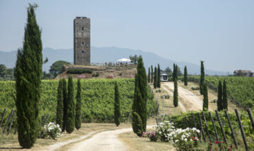Tenimenti Leone
